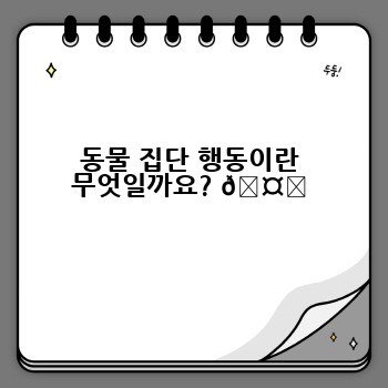 동물 집단 행동이란 무엇일까요? 🤔
