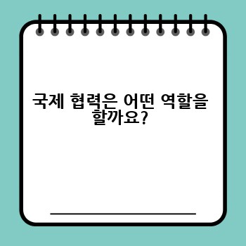 국제 협력은 어떤 역할을 할까요?