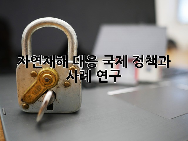 자연재해 대응: 국제 정책과 사례 연구