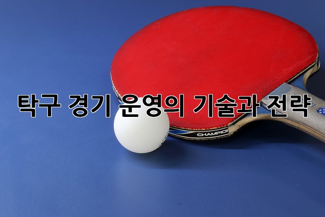 탁구 경기 운영의 기술과 전략