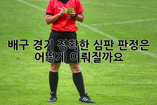 배구 경기, 정확한 심판 판정은 어떻게 이뤄질까요?