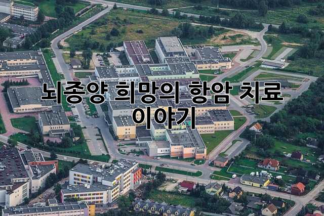 뇌종양, 희망의 항암 치료 이야기