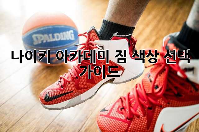 나이키 아카데미 짐 색상 선택 가이드