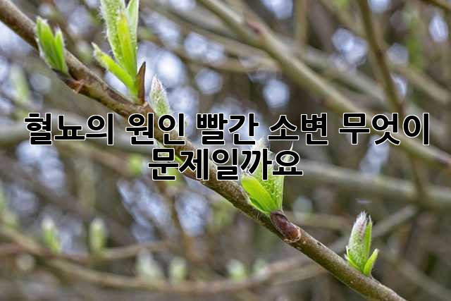 혈뇨의 원인: 빨간 소변, 무엇이 문제일까요?