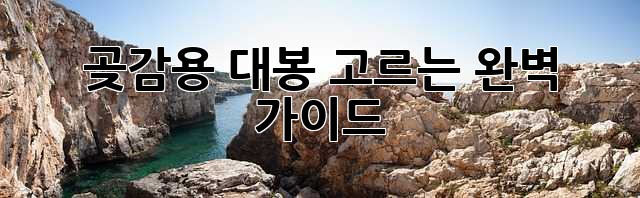 곶감용 대봉 고르는 완벽 가이드