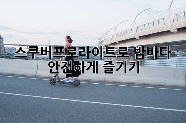 스쿠버프로라이트로 밤바다 안전하게 즐기기 ✨