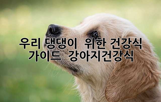 우리 댕댕이 🐶 위한 건강식 가이드 🐾 #강아지건강식