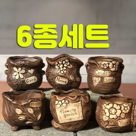 햇살 가득 담은 카르낙 미니 화분 토기 다육이 득템 후기! 🤩